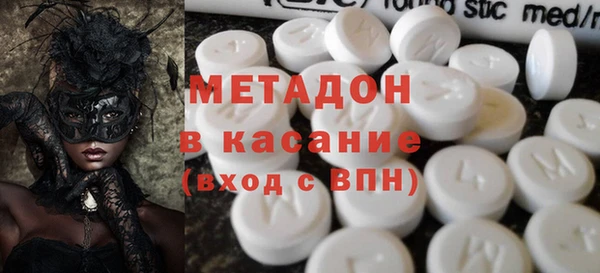 индика Арсеньев