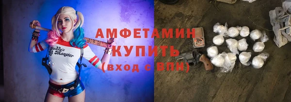 индика Арсеньев