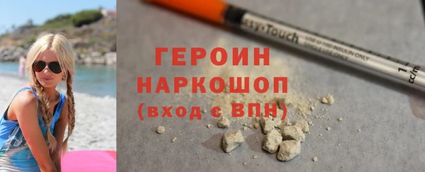 индика Арсеньев