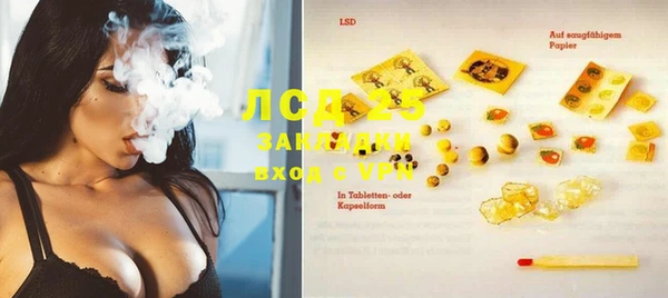 прущие грибы Армянск