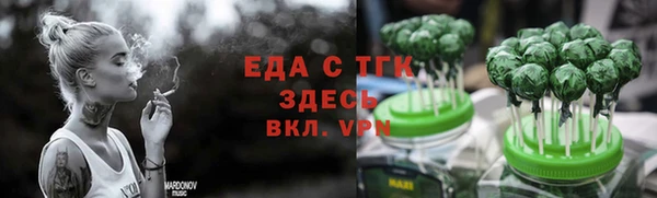 индика Арсеньев