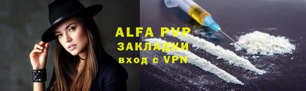 индика Арсеньев