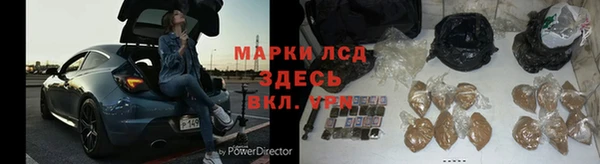 индика Арсеньев