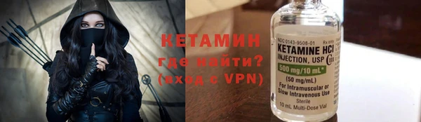 индика Арсеньев