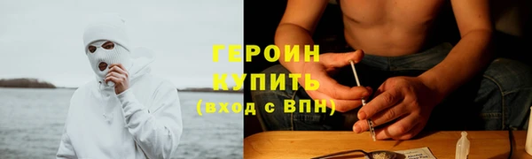 прущие грибы Армянск