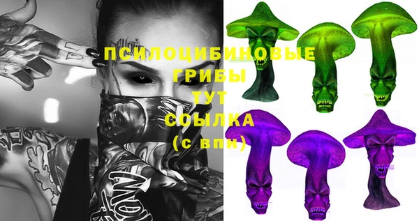 прущие грибы Армянск