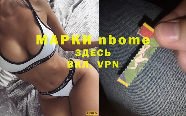 индика Арсеньев