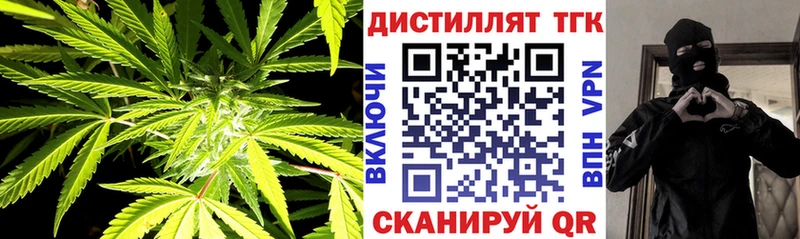 купить наркотик  MEGA как войти  Дистиллят ТГК гашишное масло  Городец 