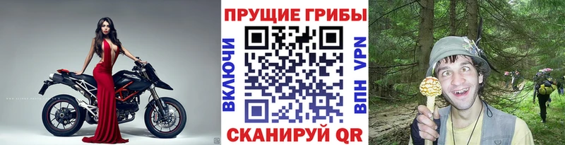 Псилоцибиновые грибы Psilocybine cubensis  купить закладку  Городец 